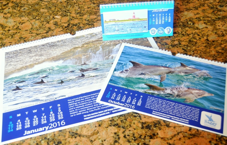 Algoa Bay Calendar 2016 Algoa Bay Calendar 2016
