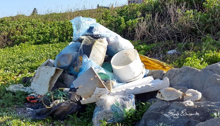 More Garbage Collected on International Coastal Clean-Up Day