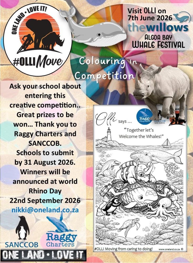 colouring_competition_2026.jpg