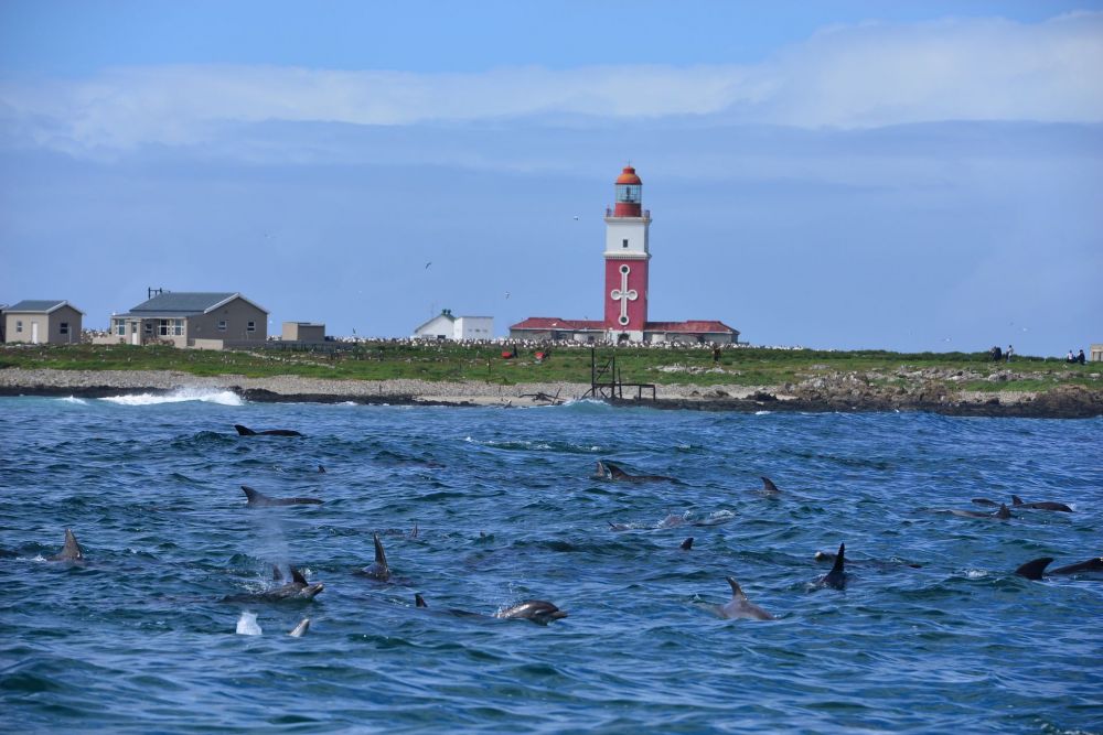 dsc_9156.jpg