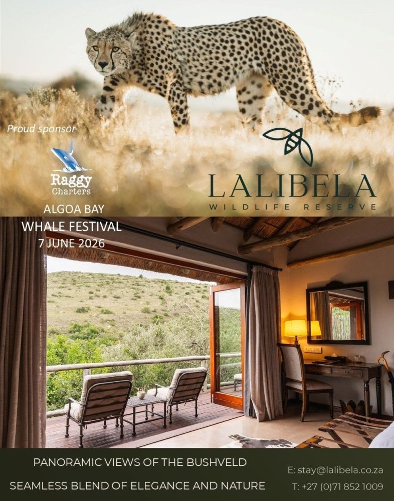 lalibela_sponsor_2026.jpg
