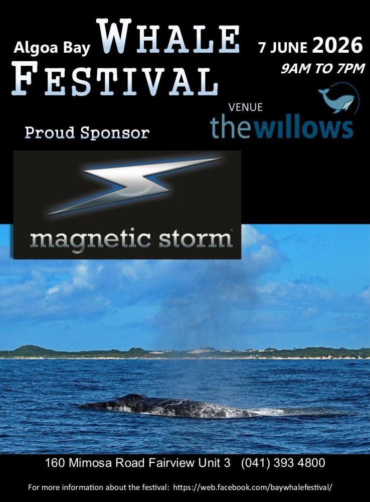 magnetic_storm_2026.jpg