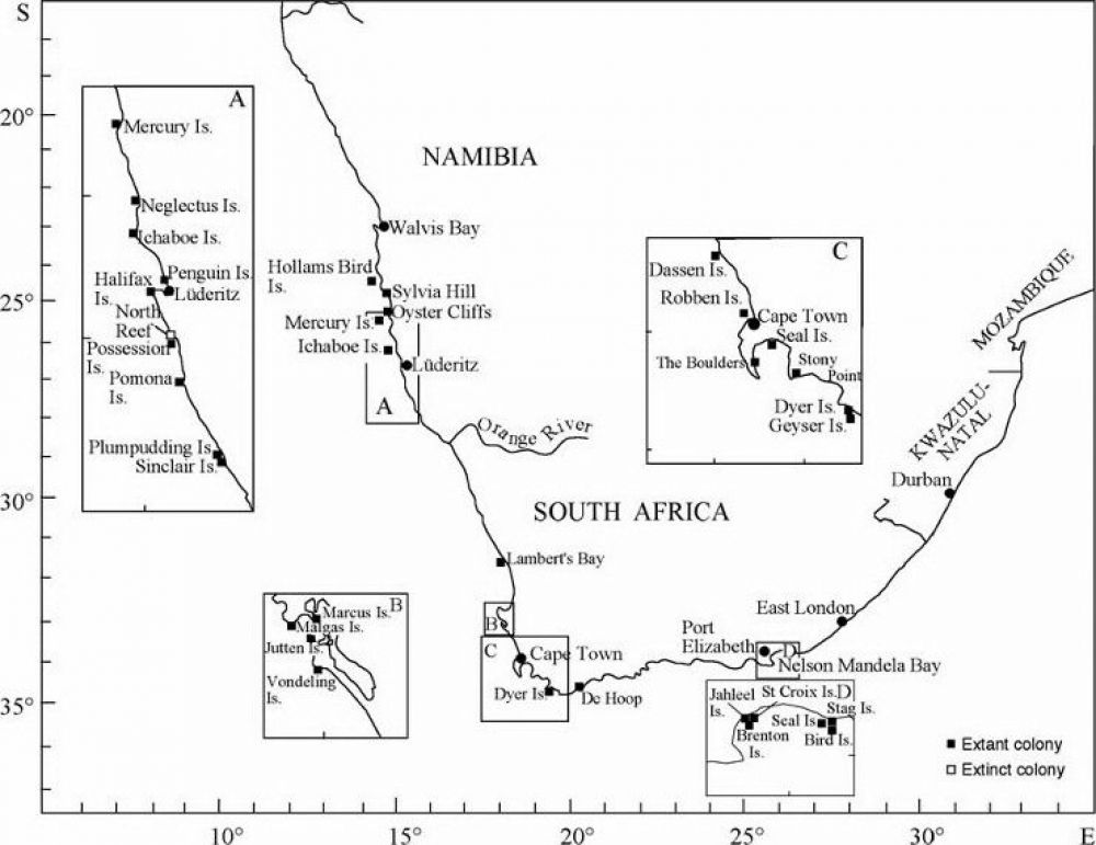 map_of_african_penguin_colonies_courtesy_of_rob_crawford.jpg