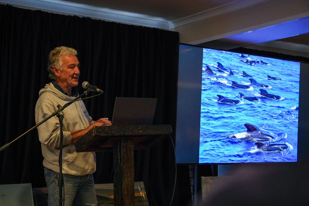 raggychartersalgoabaywhalefestival202611.jpg