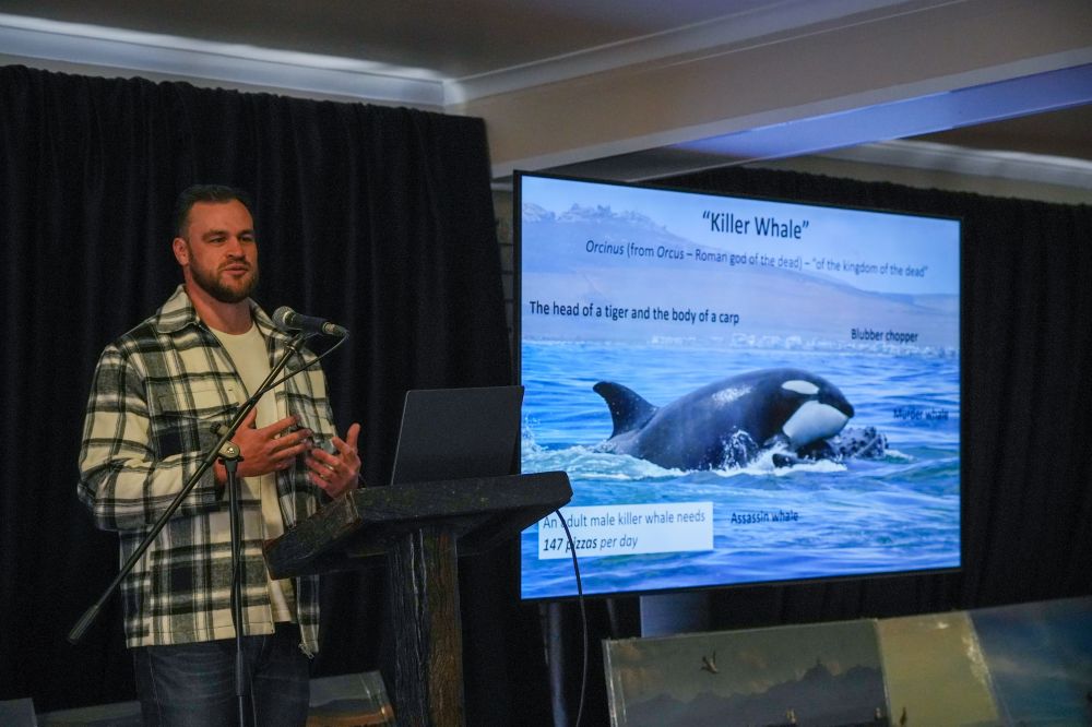 raggychartersalgoabaywhalefestival20264.jpg