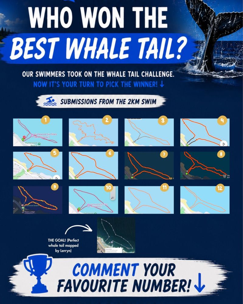 rocking_the_whale_tail_swim_maps.jpg