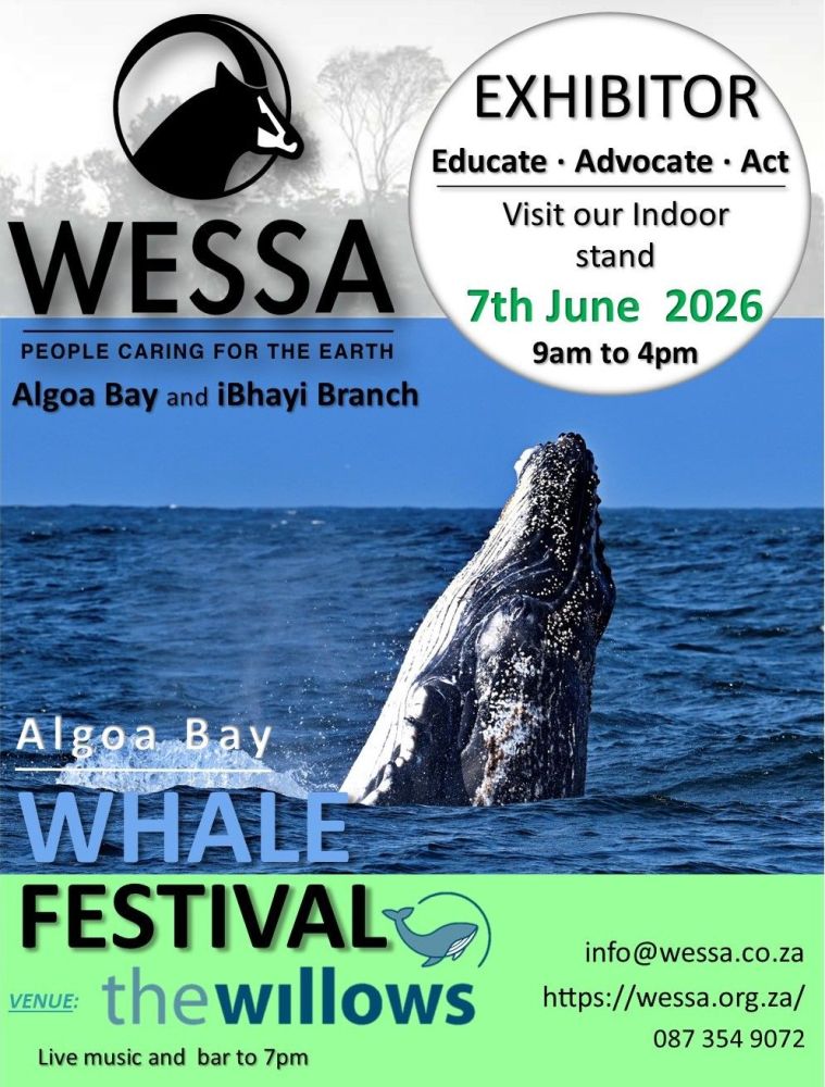 wessa_2026.jpg