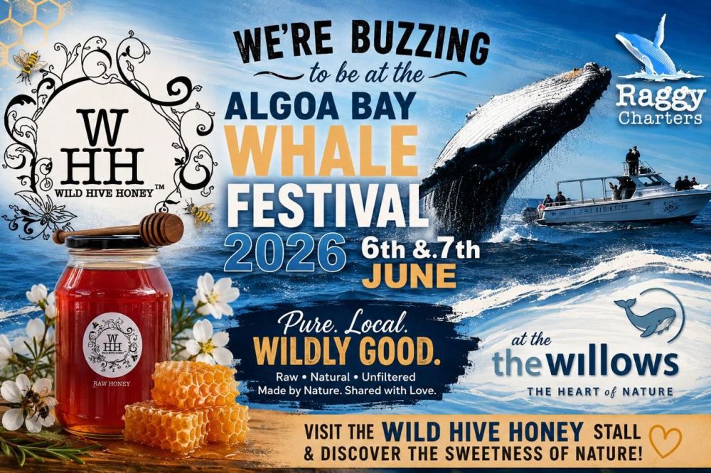 wild_hive_ad_2026.jpeg