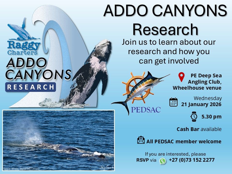 addo_canyon_research_talk_ad_21jan2026.jpg