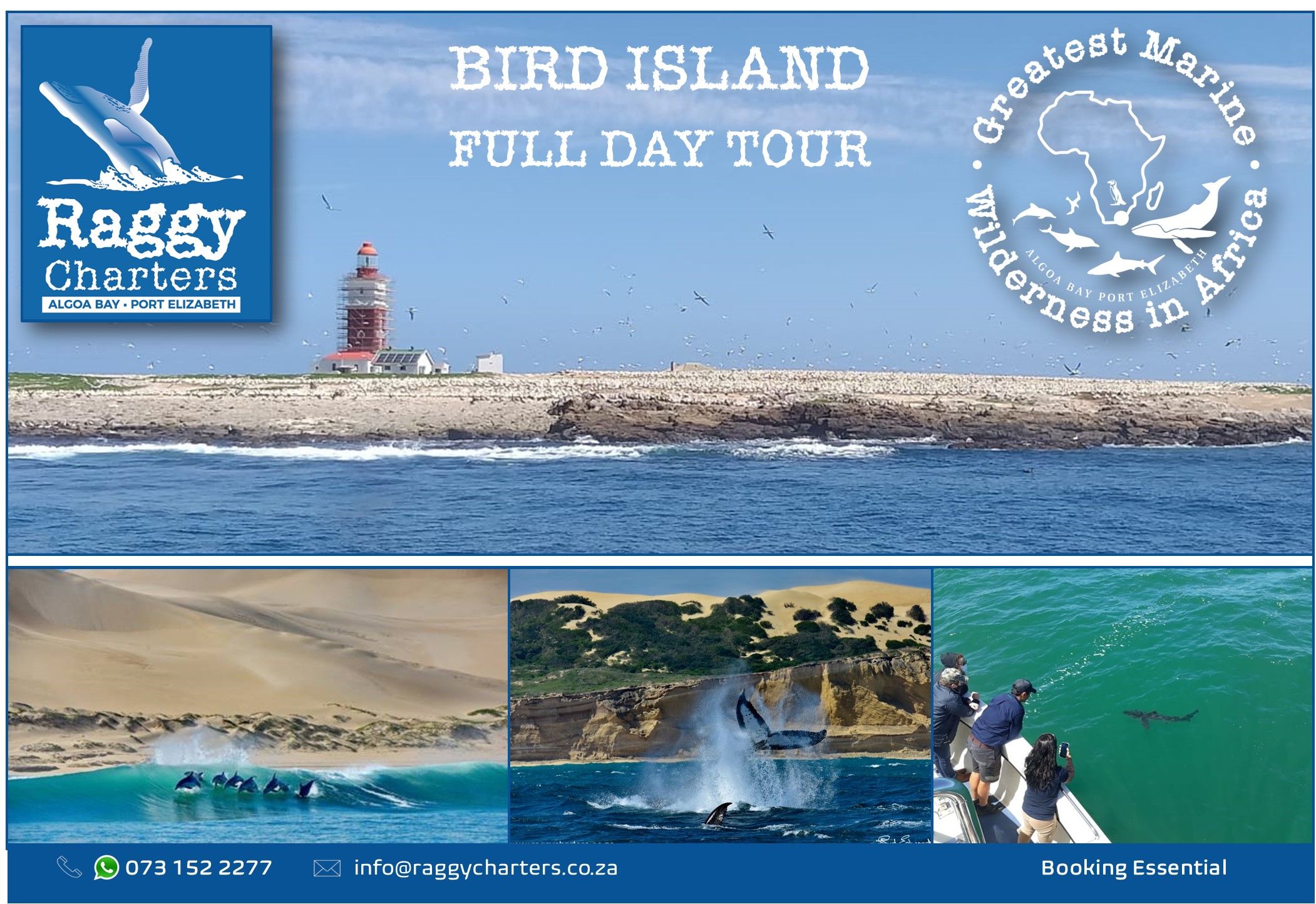 bird_island_full_day_tour1685939205.jpg