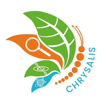 chrysalistraining_logo.jpeg