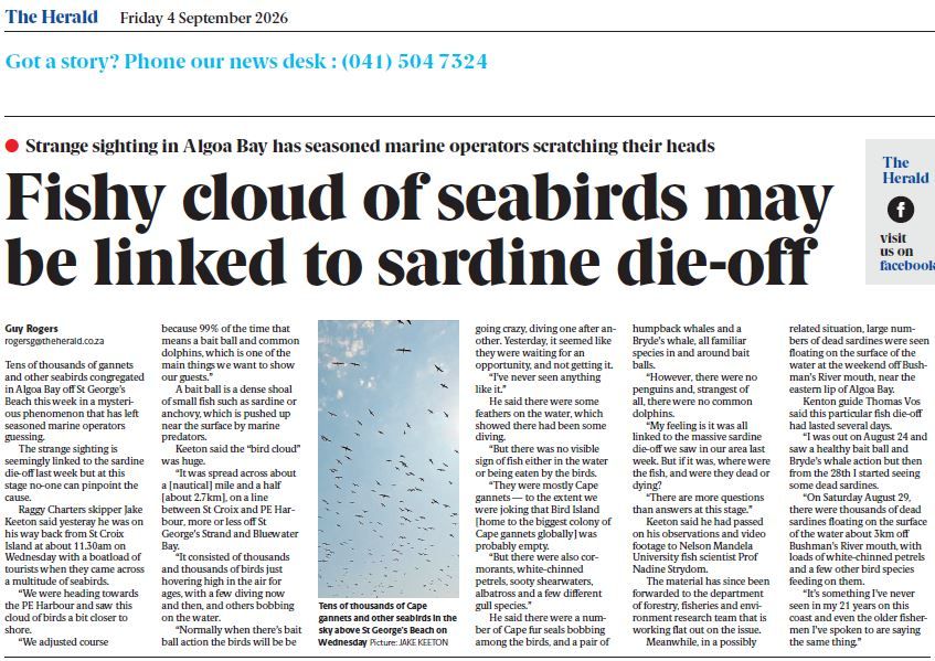 gannet_article_jake_herald_4sep2026.jpg