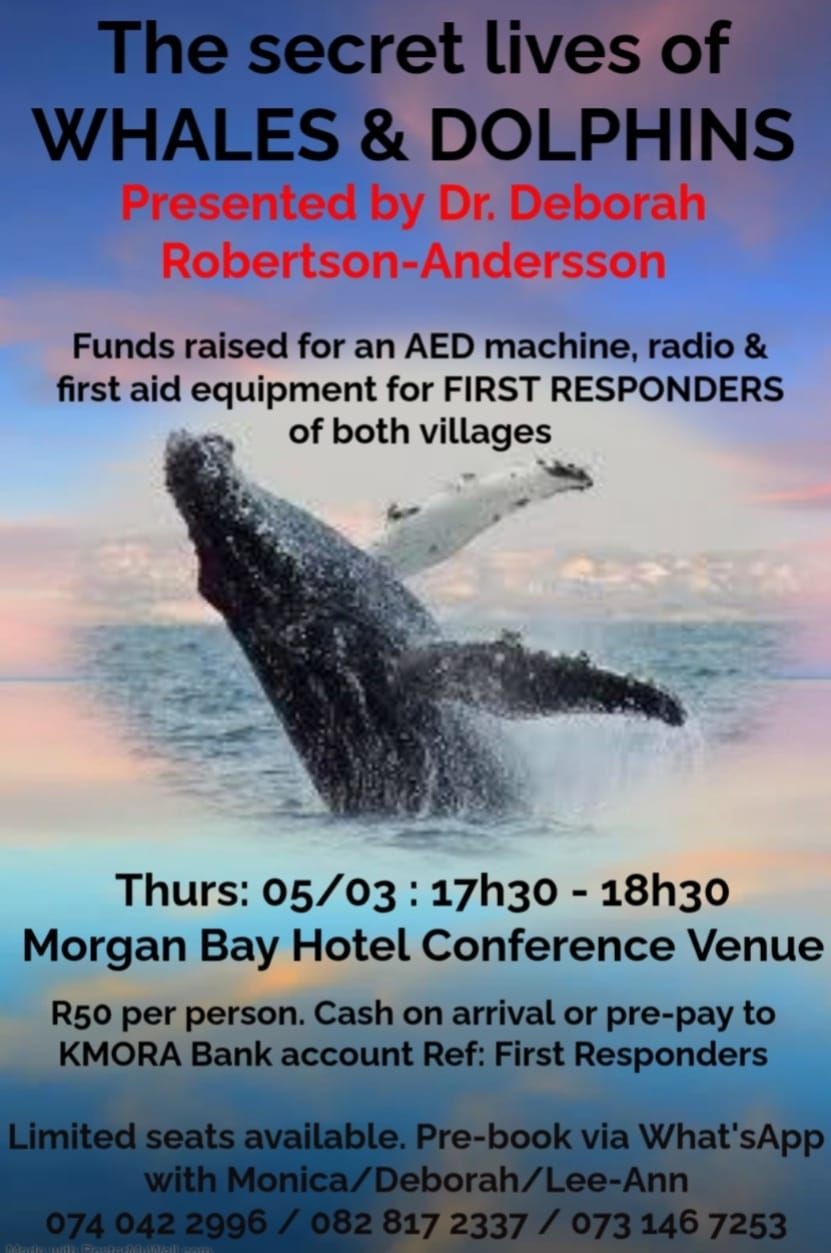 morgan_bay_5_mar_2026.jpeg