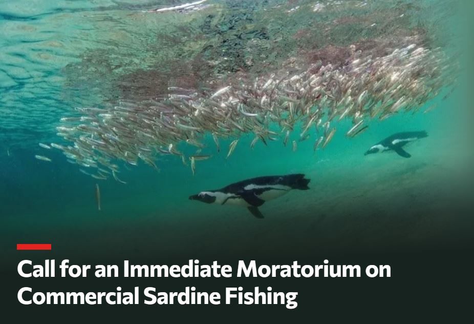 petition_sardine_sept2026.jpg