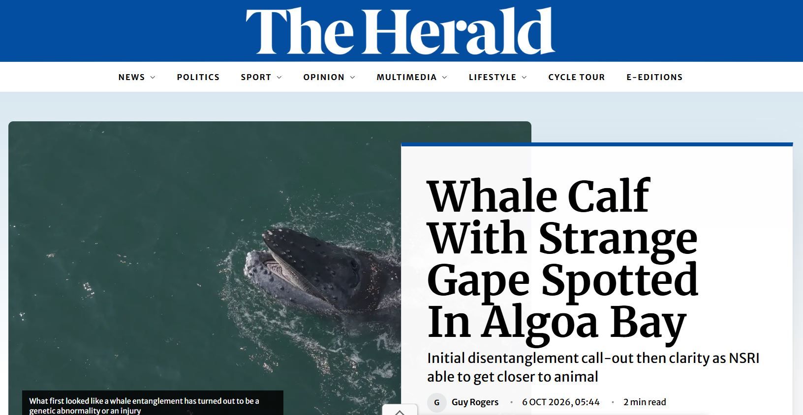 srw_gape_herald_6102026.jpg