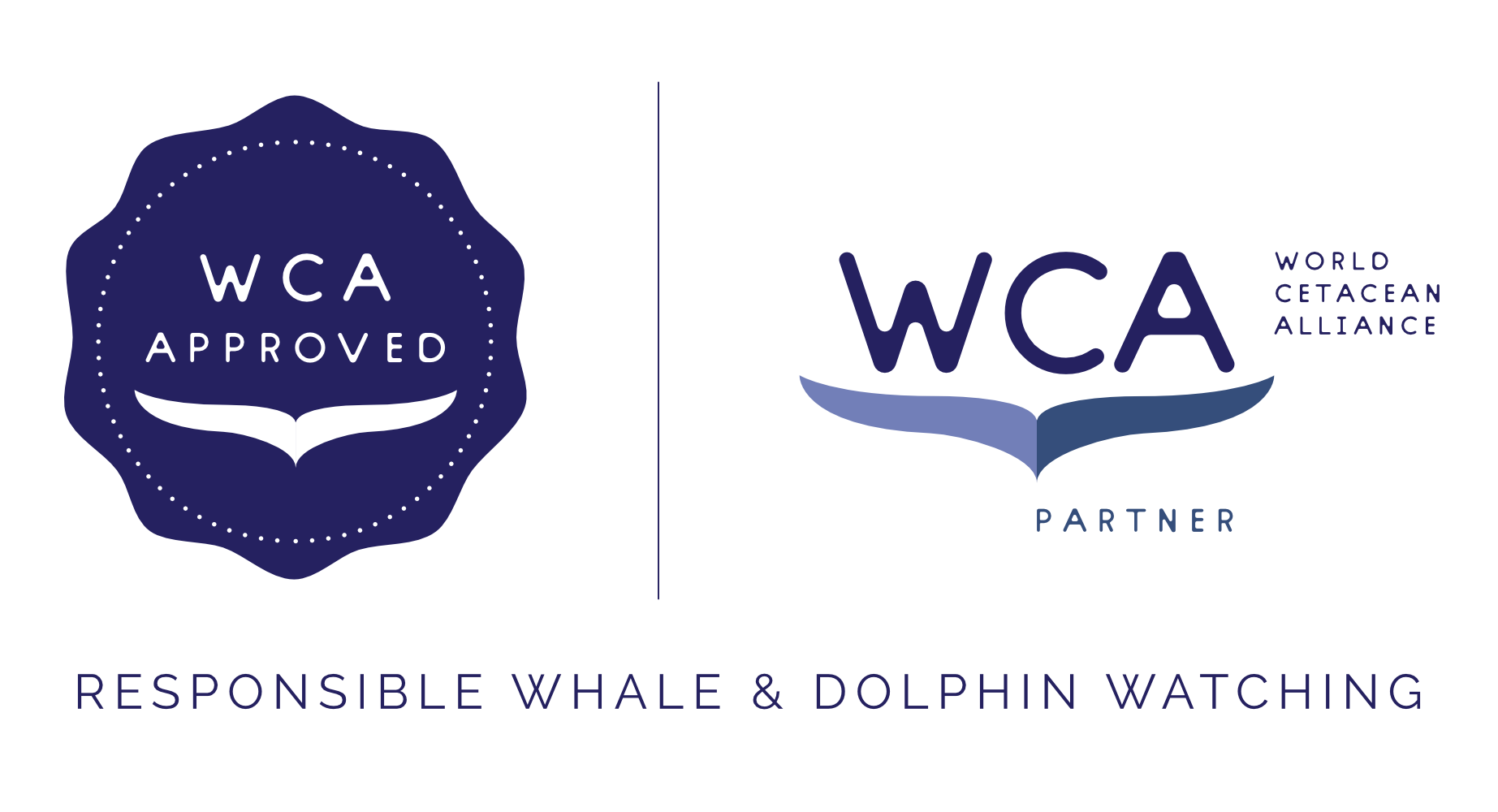 wca_approved_partner_logo_colour.png
